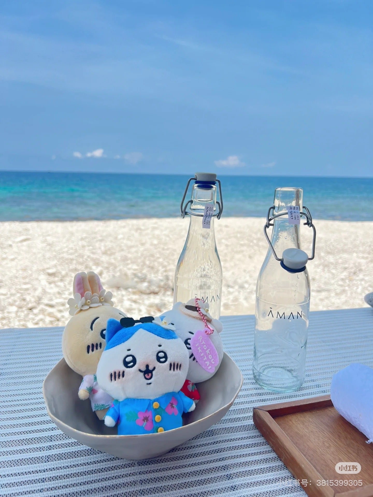 Chiikawa 吉伊卡哇｜Traveling Petite Mini Mascot观光旅行系列毛绒玩偶挂件/包挂｜约H150×W55×D80mm