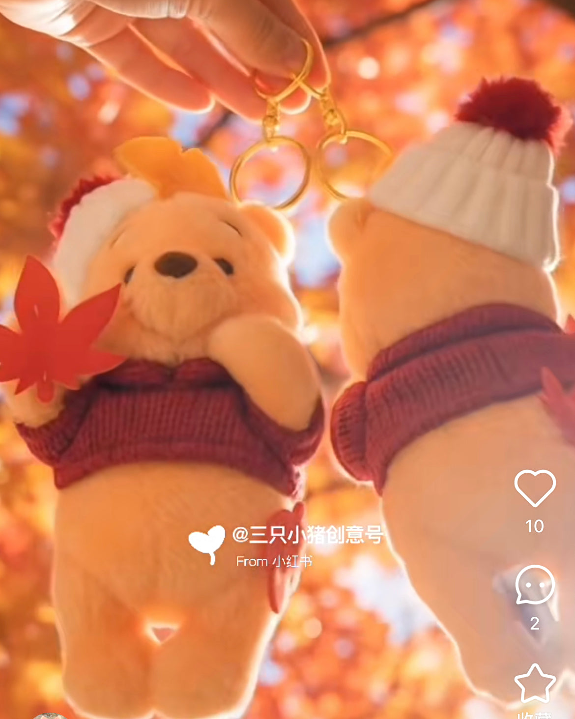 Disney｜Momiji Winnie the Pooh Mascot Holder /Plush Keychain｜17.5×9.5×8.5(cm) approx.