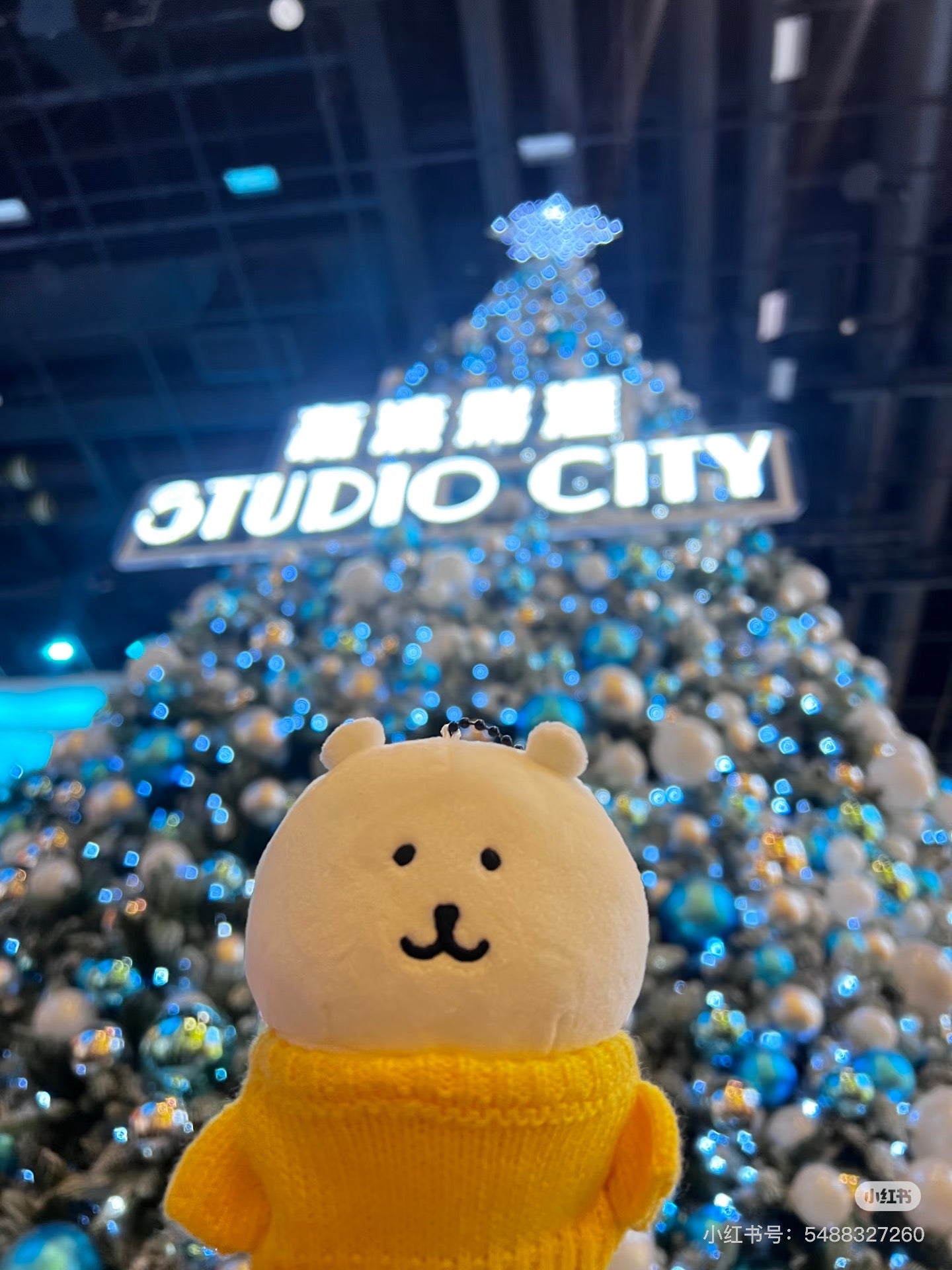 Nagano｜Characters Joke Bear Wearing a Sweater Mascot Holder /Plush Keychain｜H110×W100×D55mm approx