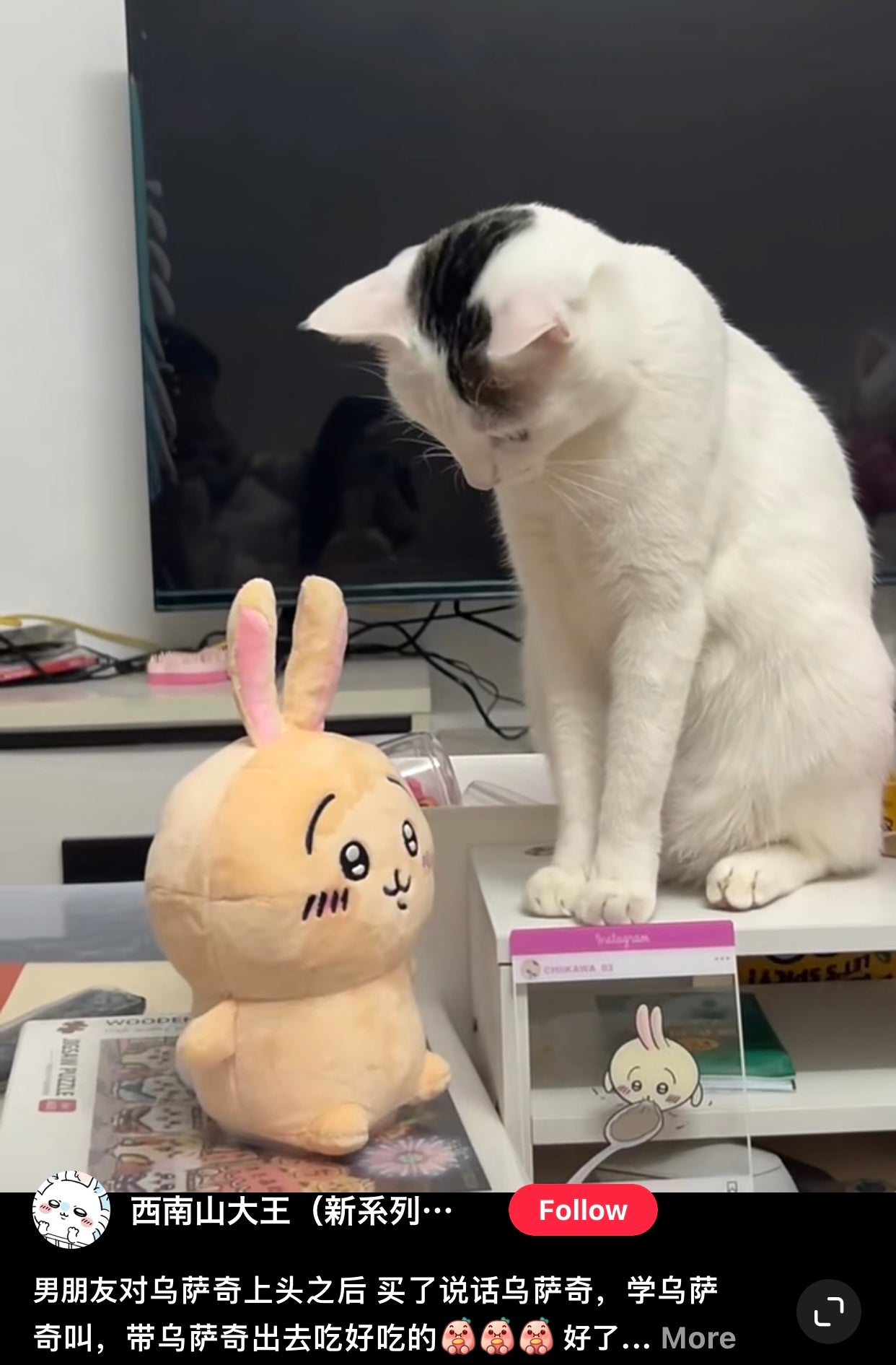 Chiikawa 吉伊卡哇｜会模仿说话/会动的发声公仔/玩偶｜約H210×W150×D120mm