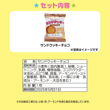 Sanrio三丽鸥｜ Cookie &amp; Boot Mascot / Christmas圣诞节限定可爱角色靴子造型糖果袋/含一袋小饼干｜约11×4.5×20cm
