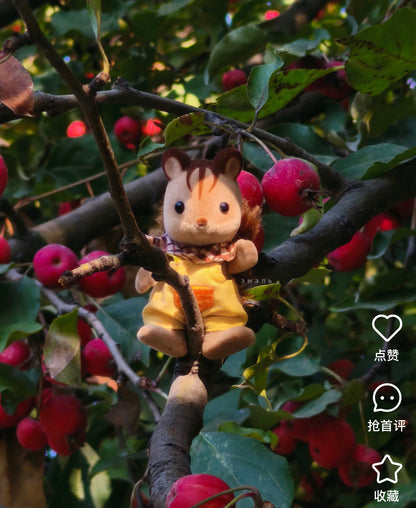 SylvanianFamilies｜Walnut Squirrel Boy Doll