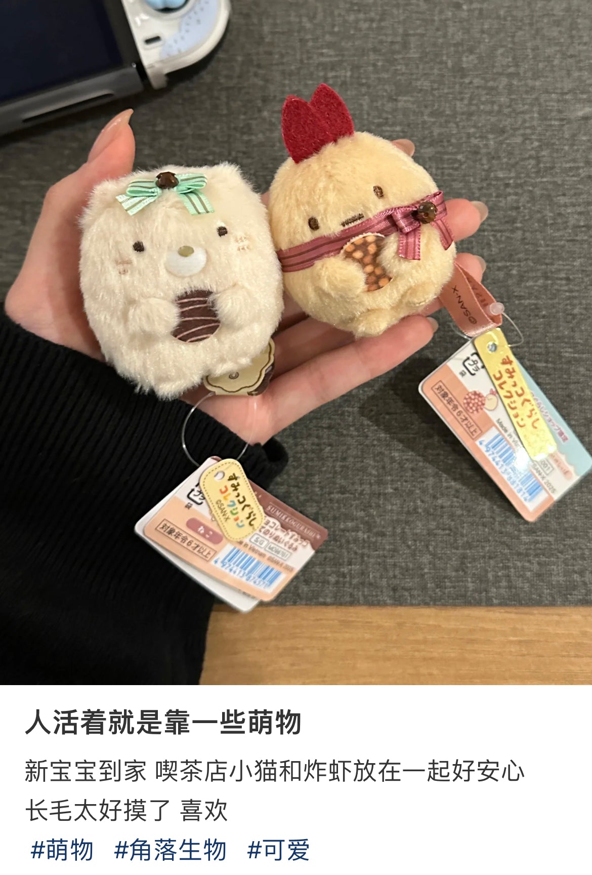 Sumikko gurashi｜Bean Master mini Tenori Plush Doll Chocolate Fair San-X Japan｜60×55×50mm approx.