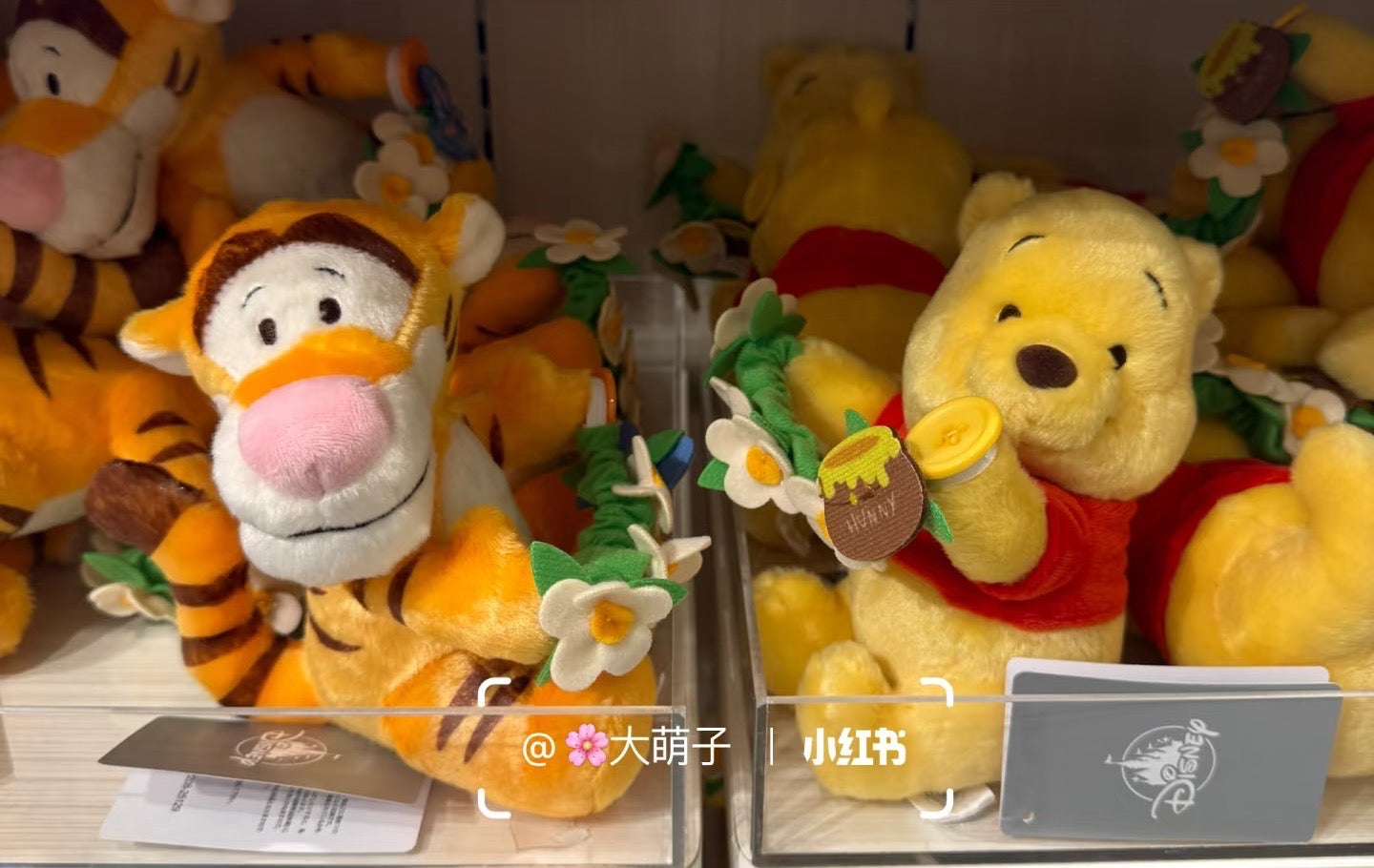 Disney｜POOH&