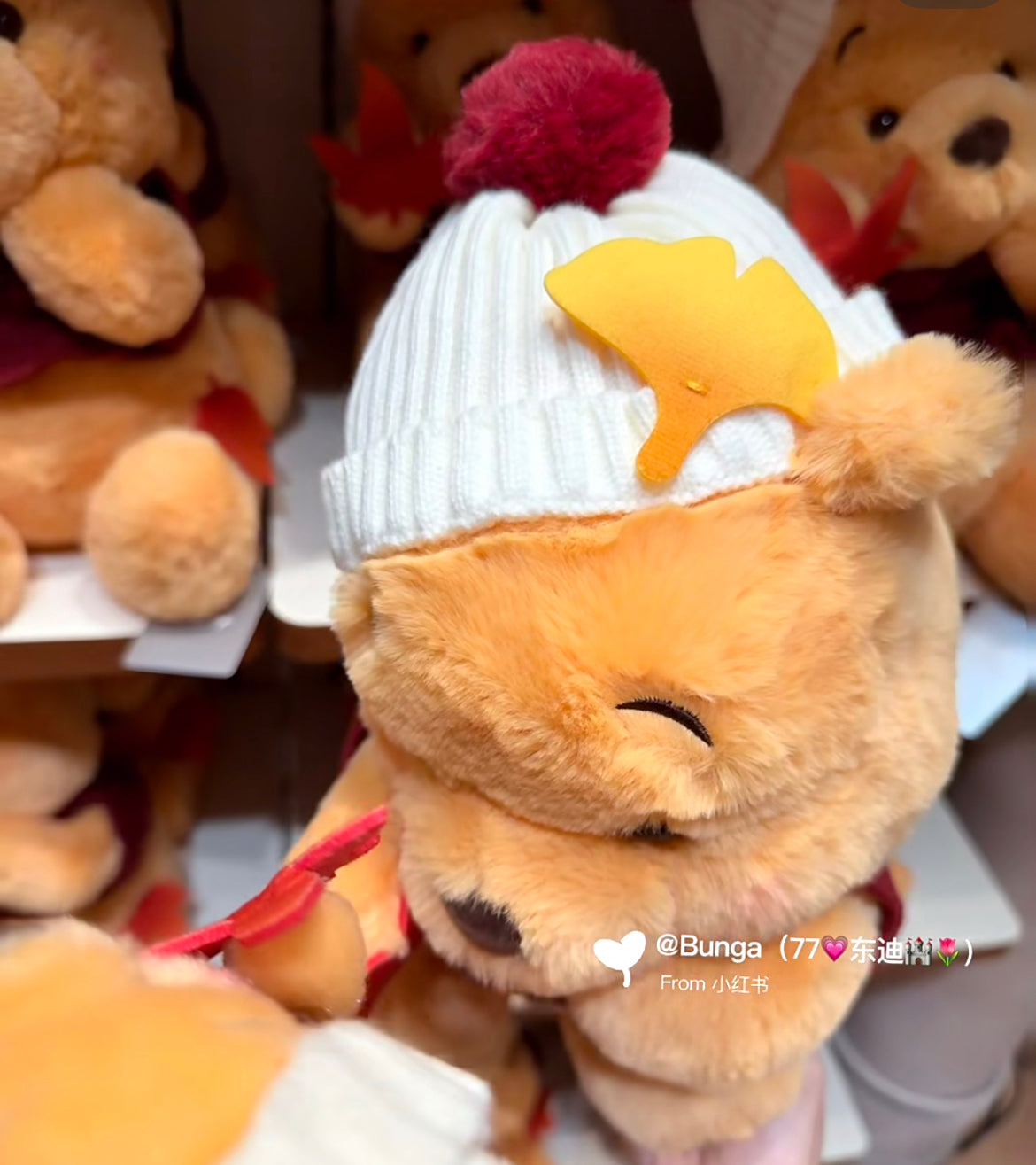 Disney｜Momiji Winnie the Pooh Plush Dolls/Plush Toy｜H35×W23×D25cm approx.