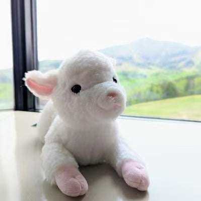 Sunlemon｜Fluffy Plush Dolls/PlushToy｜19x17x37cm approx.