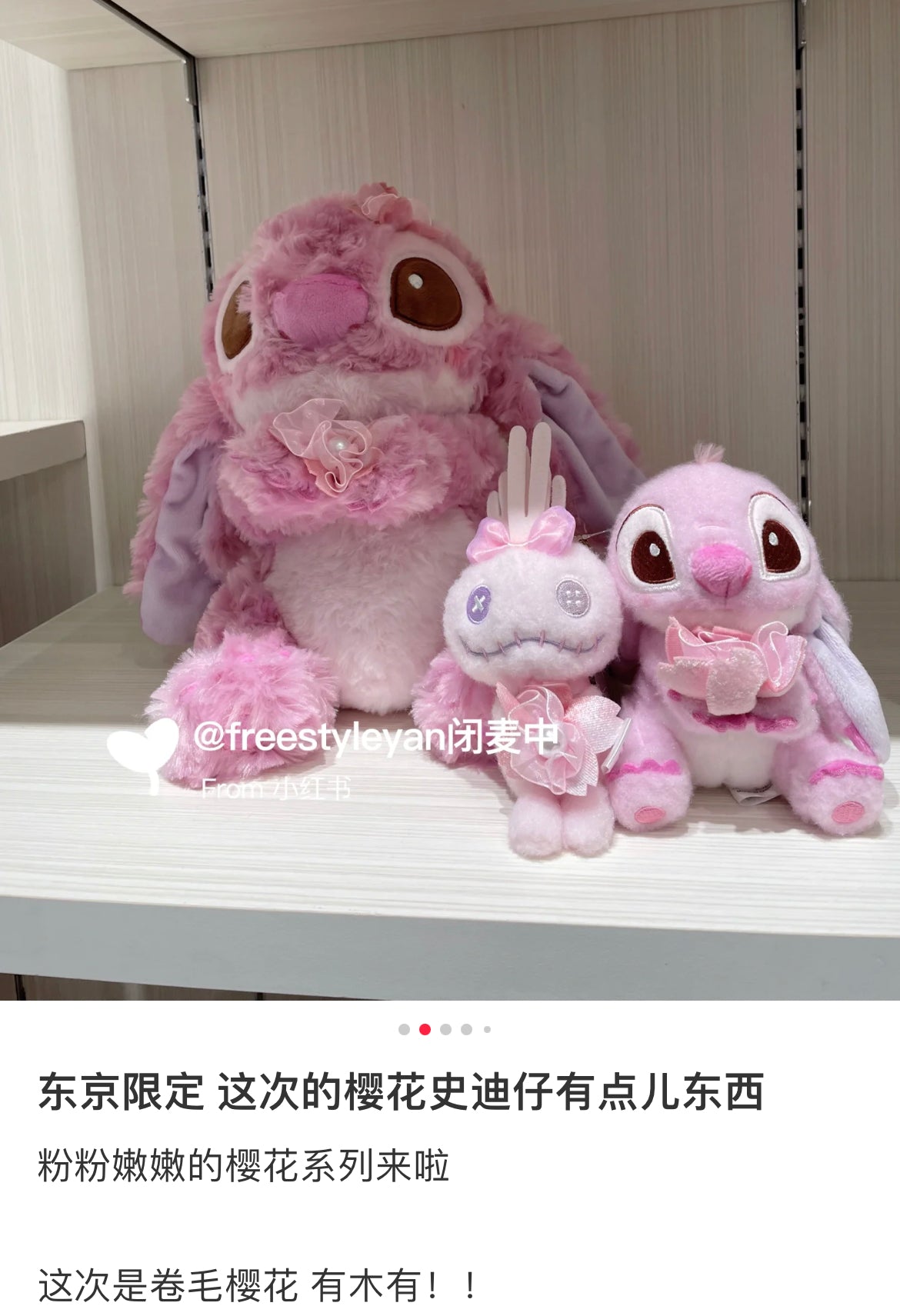 Disney迪士尼｜Cherry Blossom Sakura 2025Collection  PlushToy 东迪2025年限定樱花粉坐姿毛绒玩偶/公仔/超好摸玫瑰卷毛｜ 约高さ31×幅26×奥行き21(cm)