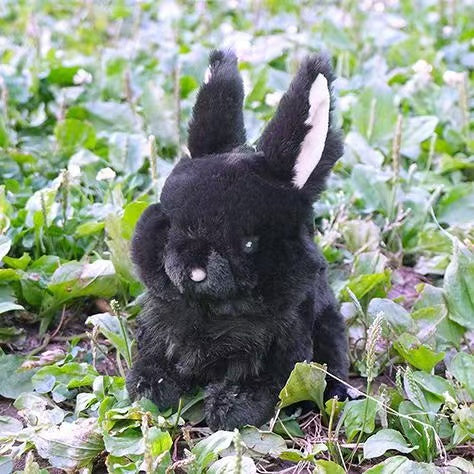 Sunlemon｜Rabbit Plush Dolls/PlushToy｜H17 x W12 x D16 cm approx.