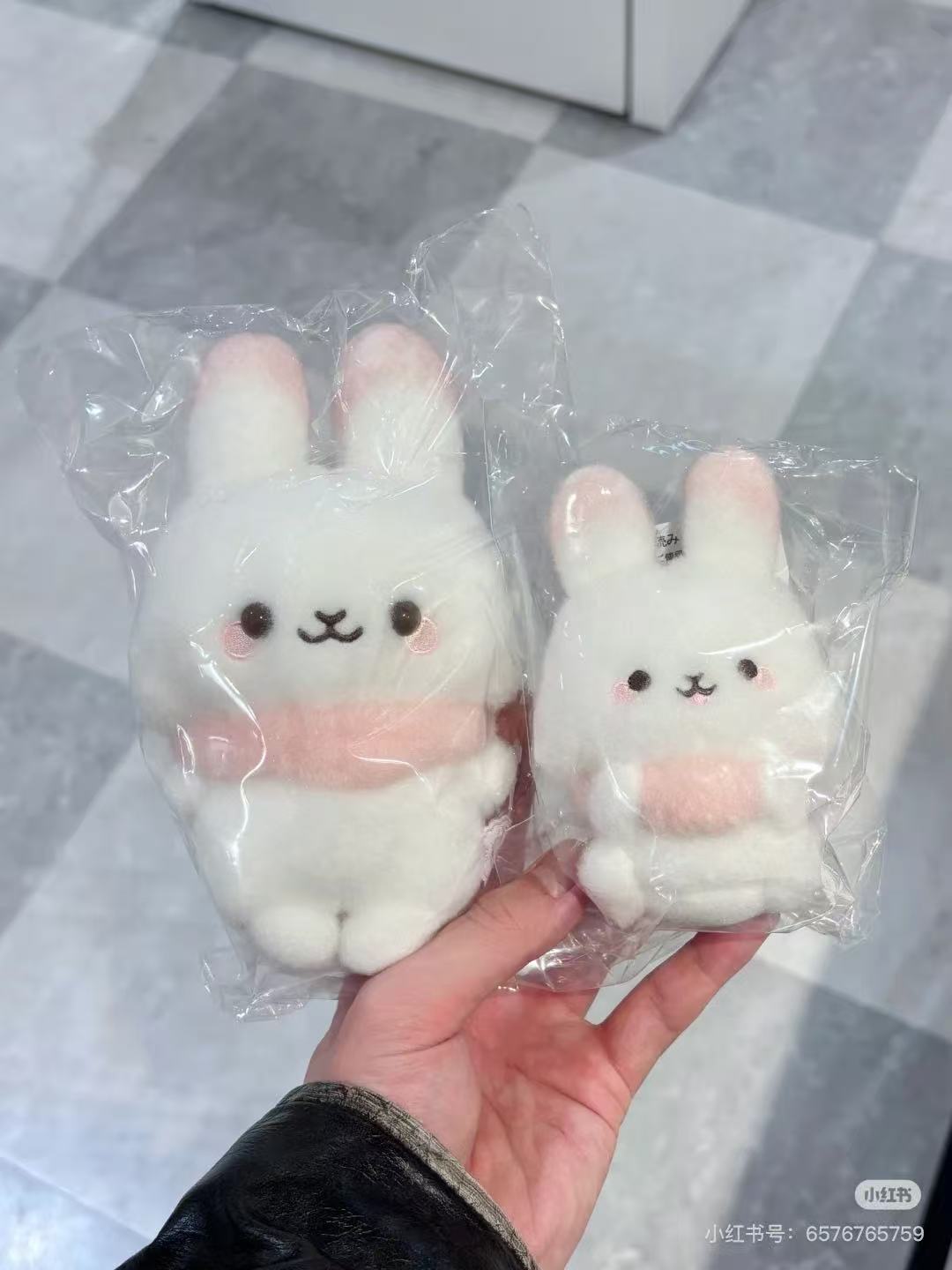 SANX｜Sugarcocomuu Hanging Mascot Holder /Plush Keychain｜115×70×60mm approx.
