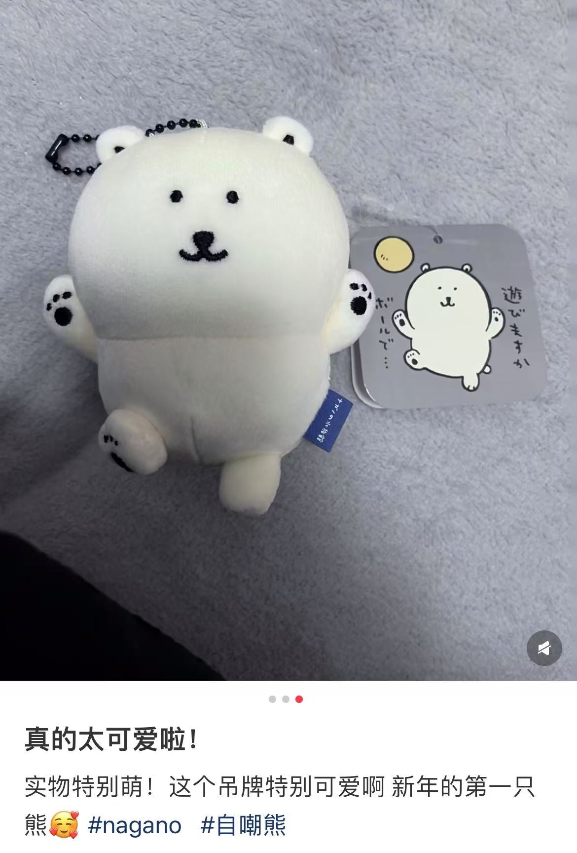 Nagano｜Characters Nagano Aquarium Mascot Holder/plush keychain｜H115 x W120 x D80mm approx.