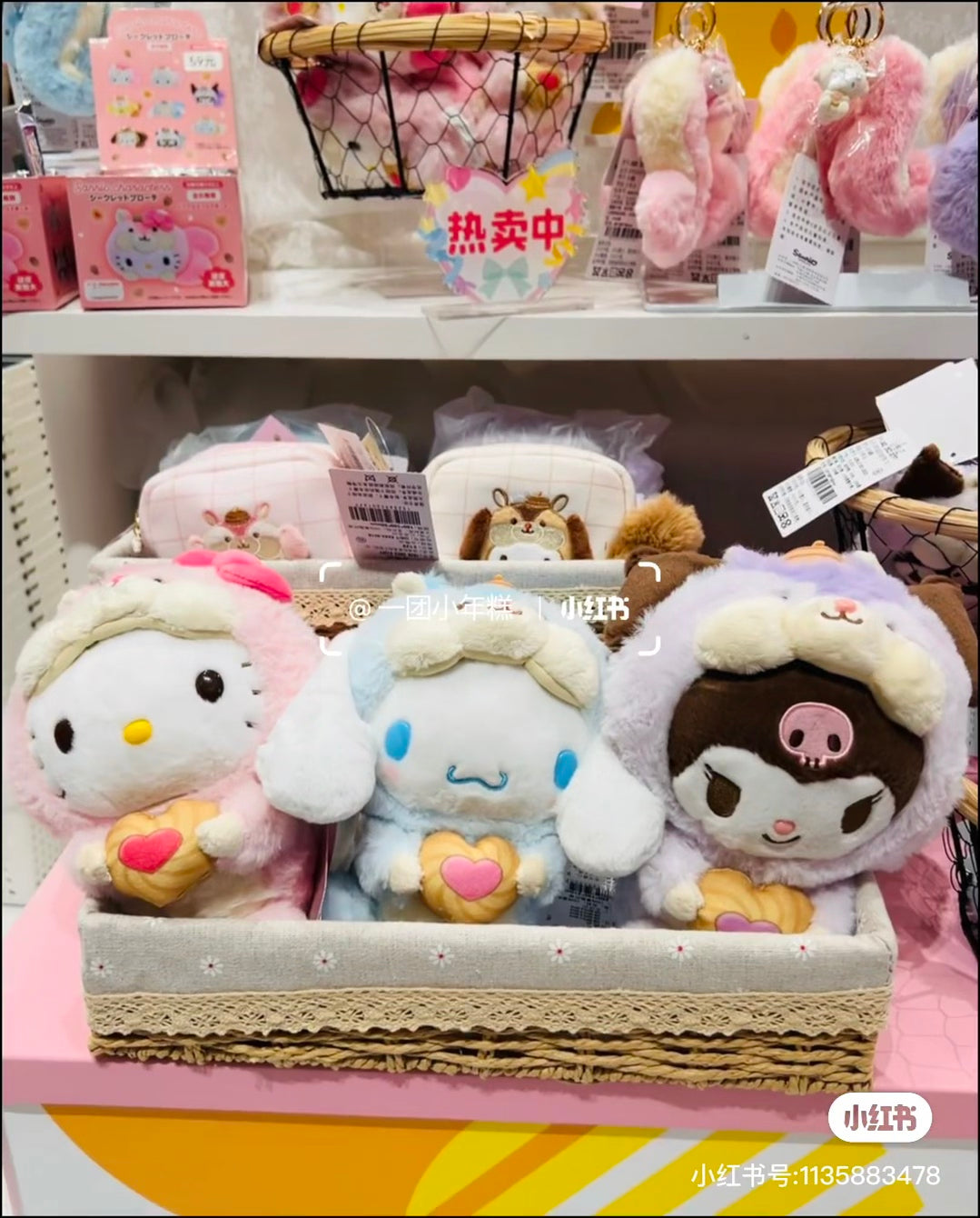 Sanrio｜Squirrel series Plush Dolls/Plush Toy｜15x21x21cm approx.