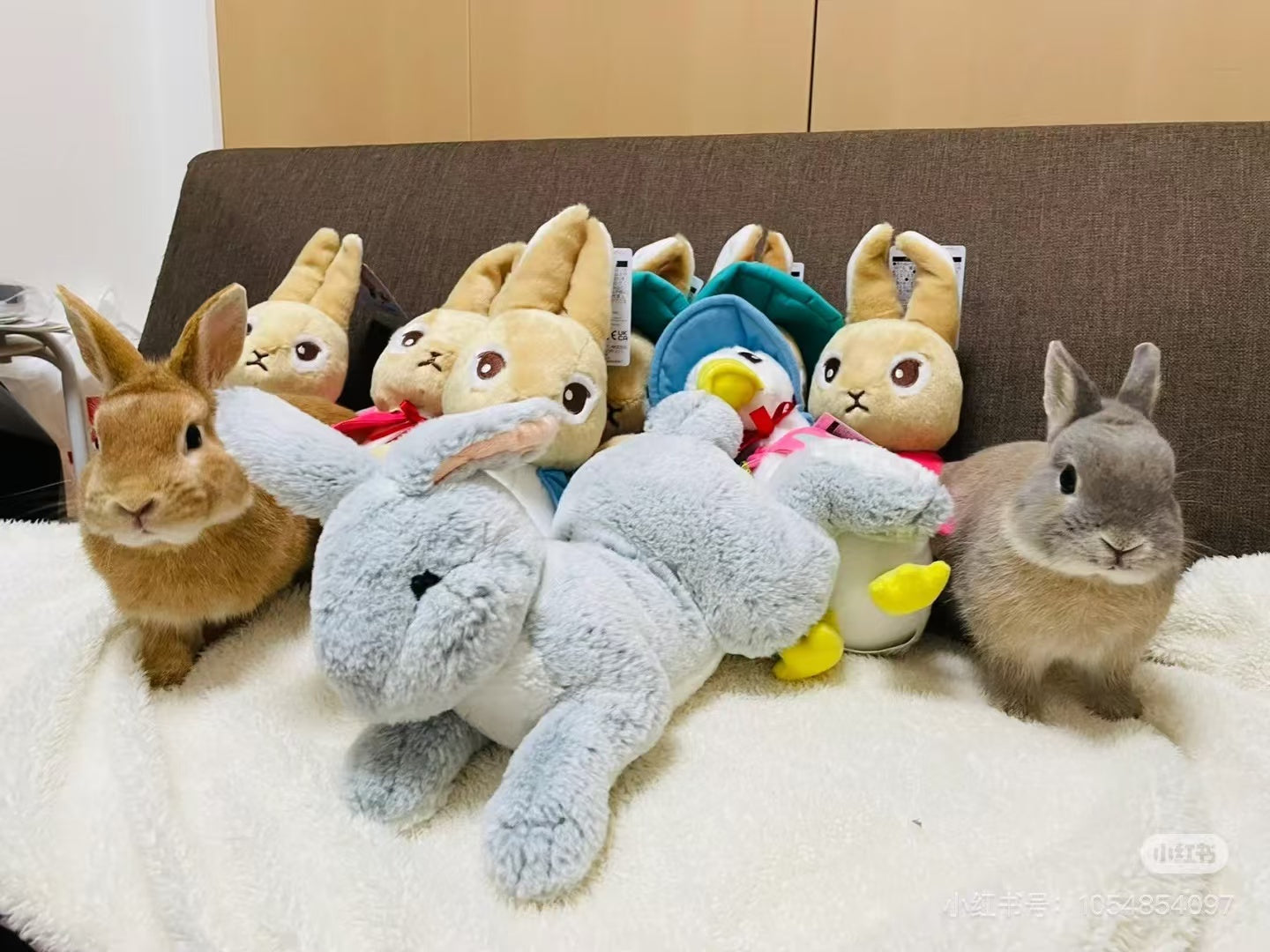 Sunlemon｜Fluffy Plush Dolls/PlushToy｜19x17x37cm approx.