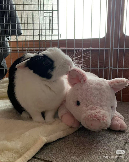 Sunlemon｜Fluffy Plush Dolls/PlushToy｜19x17x37cm approx.