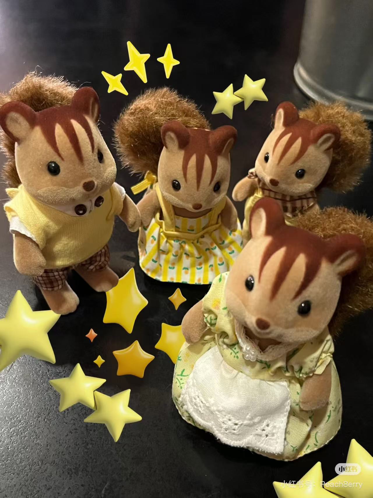 SylvanianFamilies｜Walnut Squirrel Family 4172