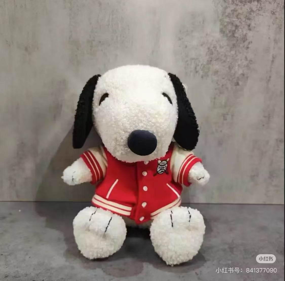Snoopy｜Peanuts Sitting with Varsity Jacket Plush Dolls/Plush Toy｜H25cm approx.
