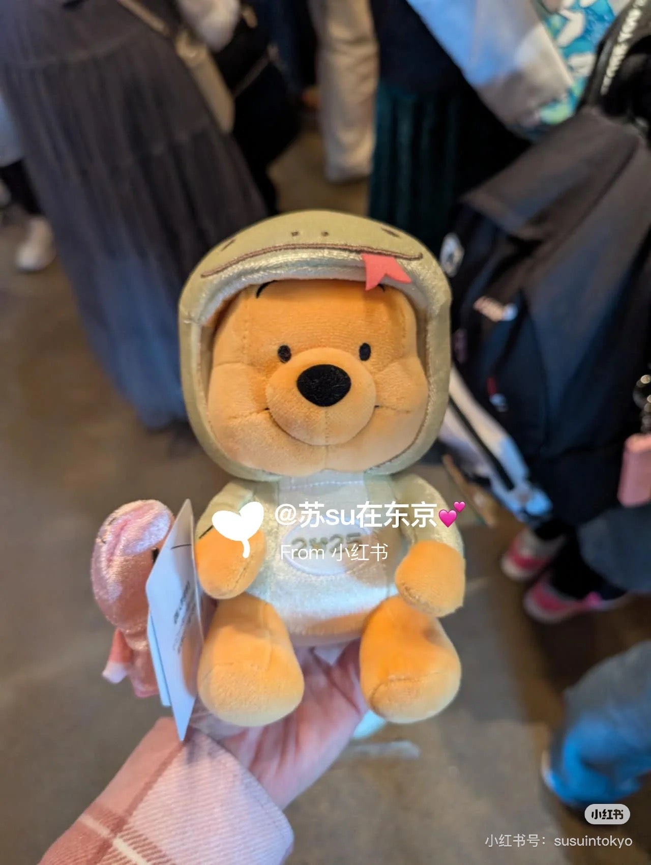 Disney迪士尼｜东迪2025蛇年限定pooh噗噗维尼玩偶公仔+Piglet皮杰小猪毛绒吊饰/皮杰小指偶