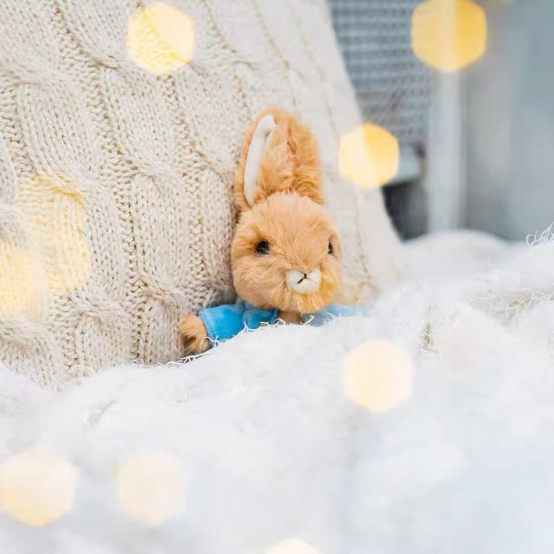 Petter Rabbit｜Fluffy Medium Plush Dolls/Plush Toy｜S/H17 x W11 x D9cm approx.