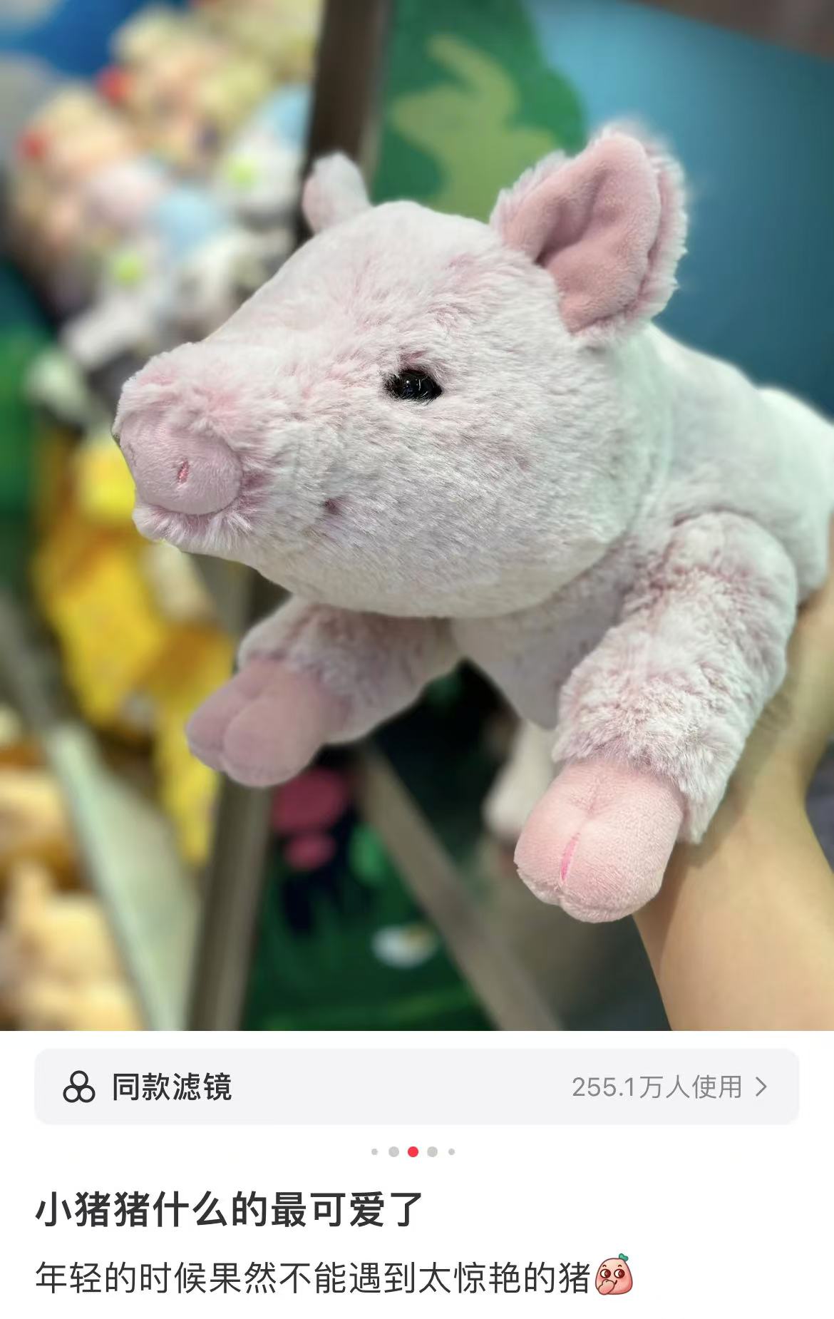 Sunlemon｜Fluffy Plush Dolls/PlushToy｜19x17x37cm approx.