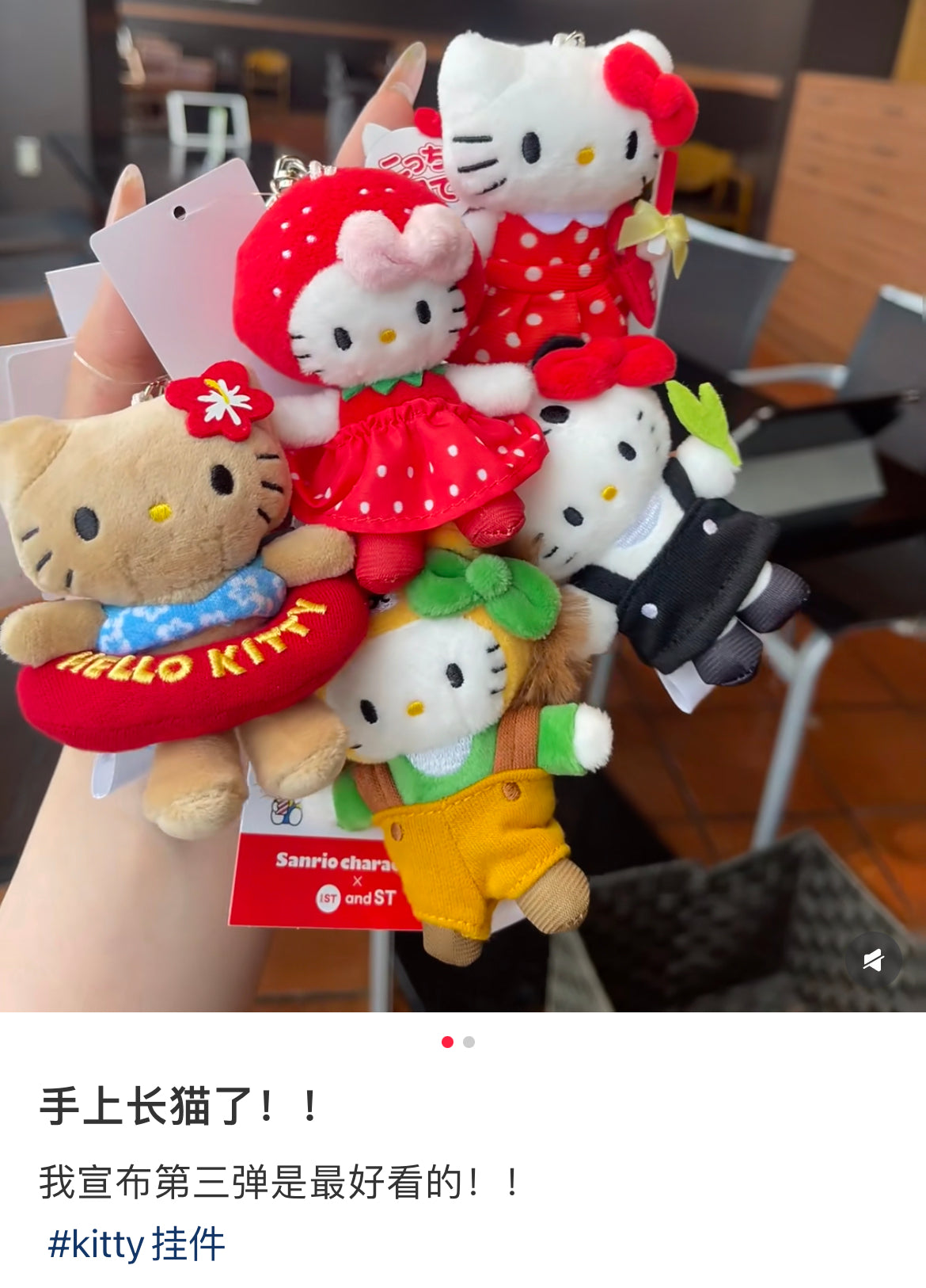 Sanrio｜.st lowrys farm me% Mascot Holder /Plush Keychain