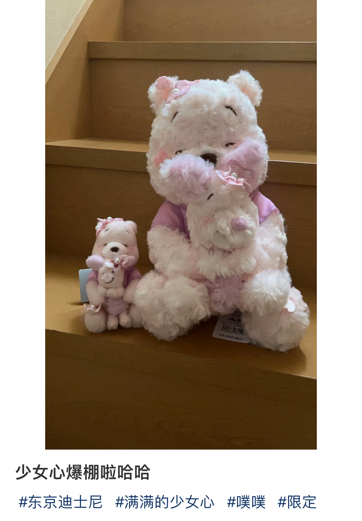 Disney｜Winnie the Pooh &amp; Piglet Plush Toy SAKURA Pink 2025｜H33.5×W20×D25cm approx.