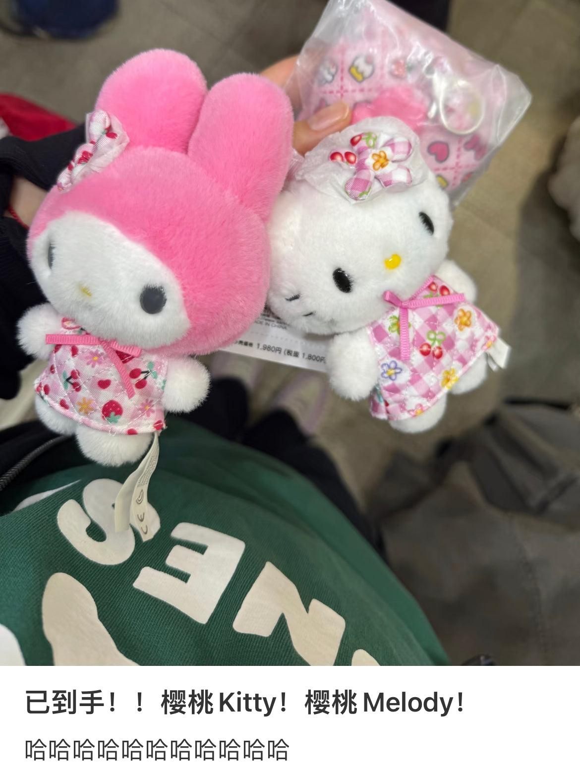 【limit 1】Sanrio｜Everyone&