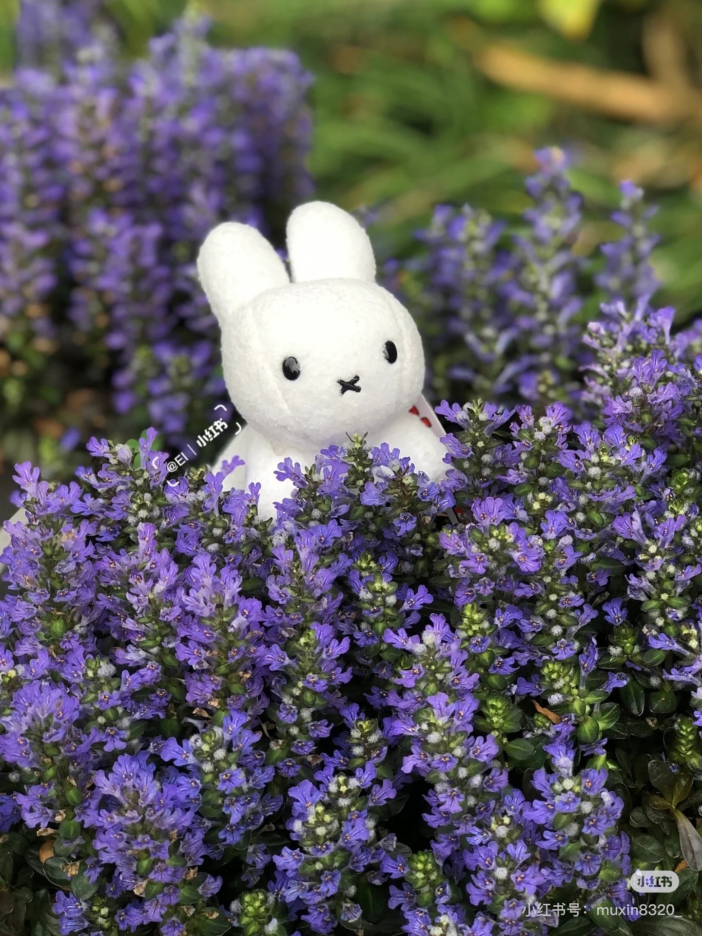 Miffy｜Sekiguchi Bruna Family Plush Toy SS Rabbit (White)｜6 x 8 x 15cm approx.