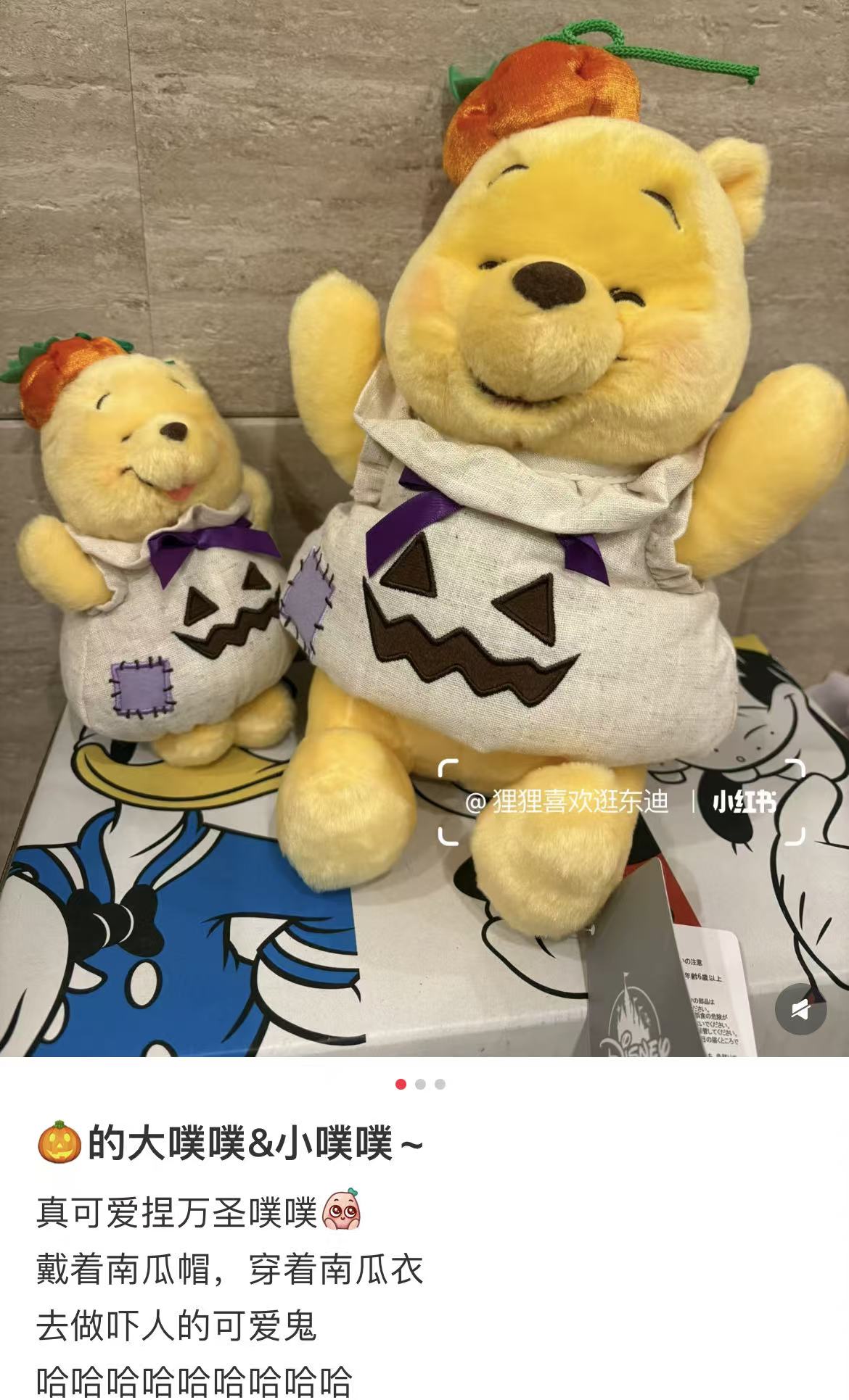 Disney｜Halloween Costume Plush Dolls/Plush Toy｜26×23×23cm approx.