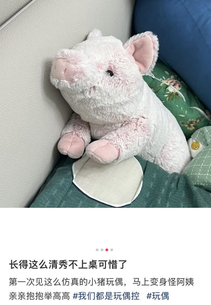 Sunlemon｜Fluffy Plush Dolls/PlushToy｜19x17x37cm approx.