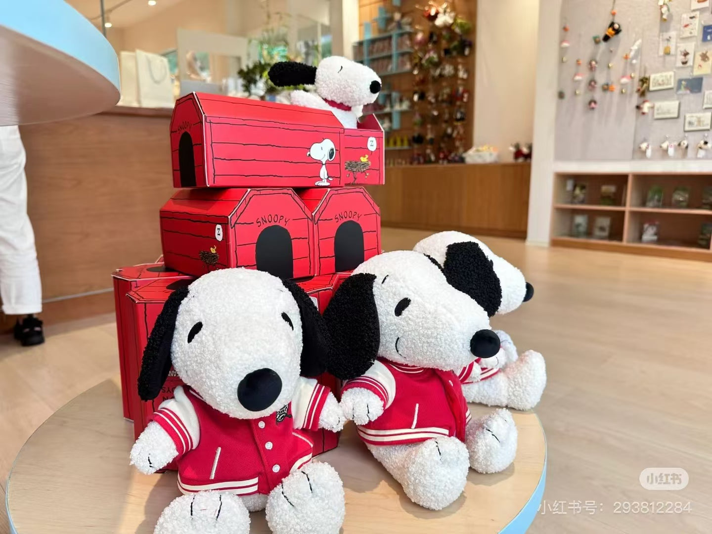 Snoopy｜Peanuts Sitting with Varsity Jacket Plush Dolls/Plush Toy｜H25cm approx.
