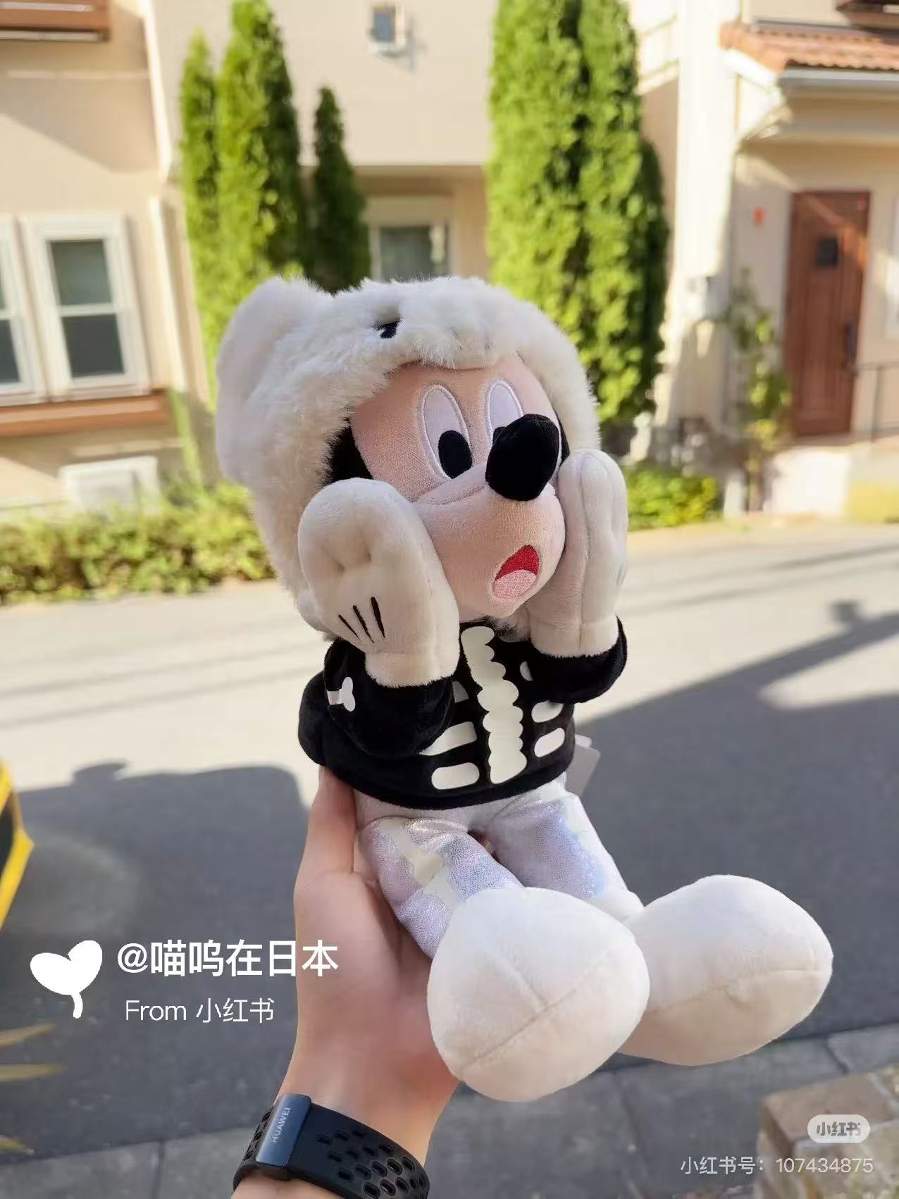 Disney｜Halloween Costume Plush Dolls/Plush Toy｜26×23×23cm approx.