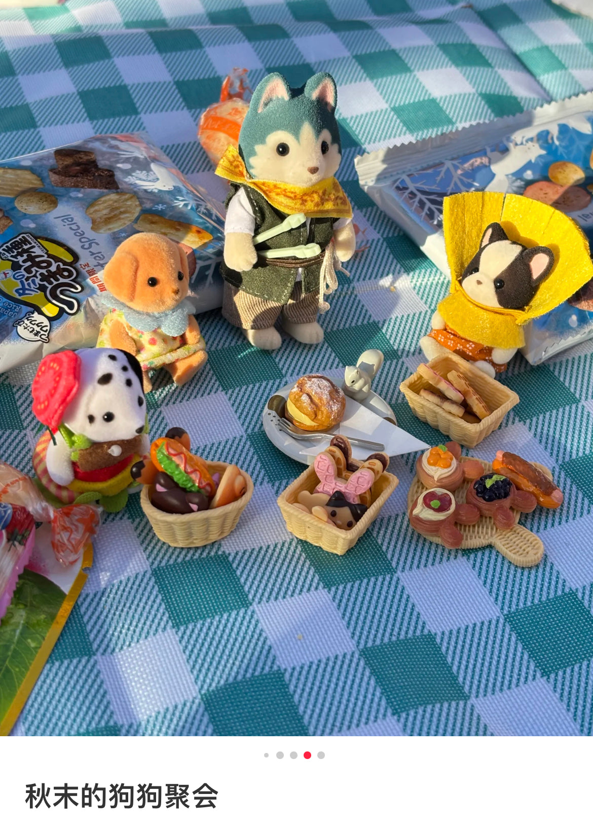 SylvanianFamilies｜Big Brother Bruce-5825