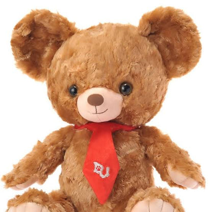 Disney｜毕业礼物/unibear大学熊毛茸茸熊熊公仔/脚底有铭牌｜高さ約26×幅24×奥行き15(cm)