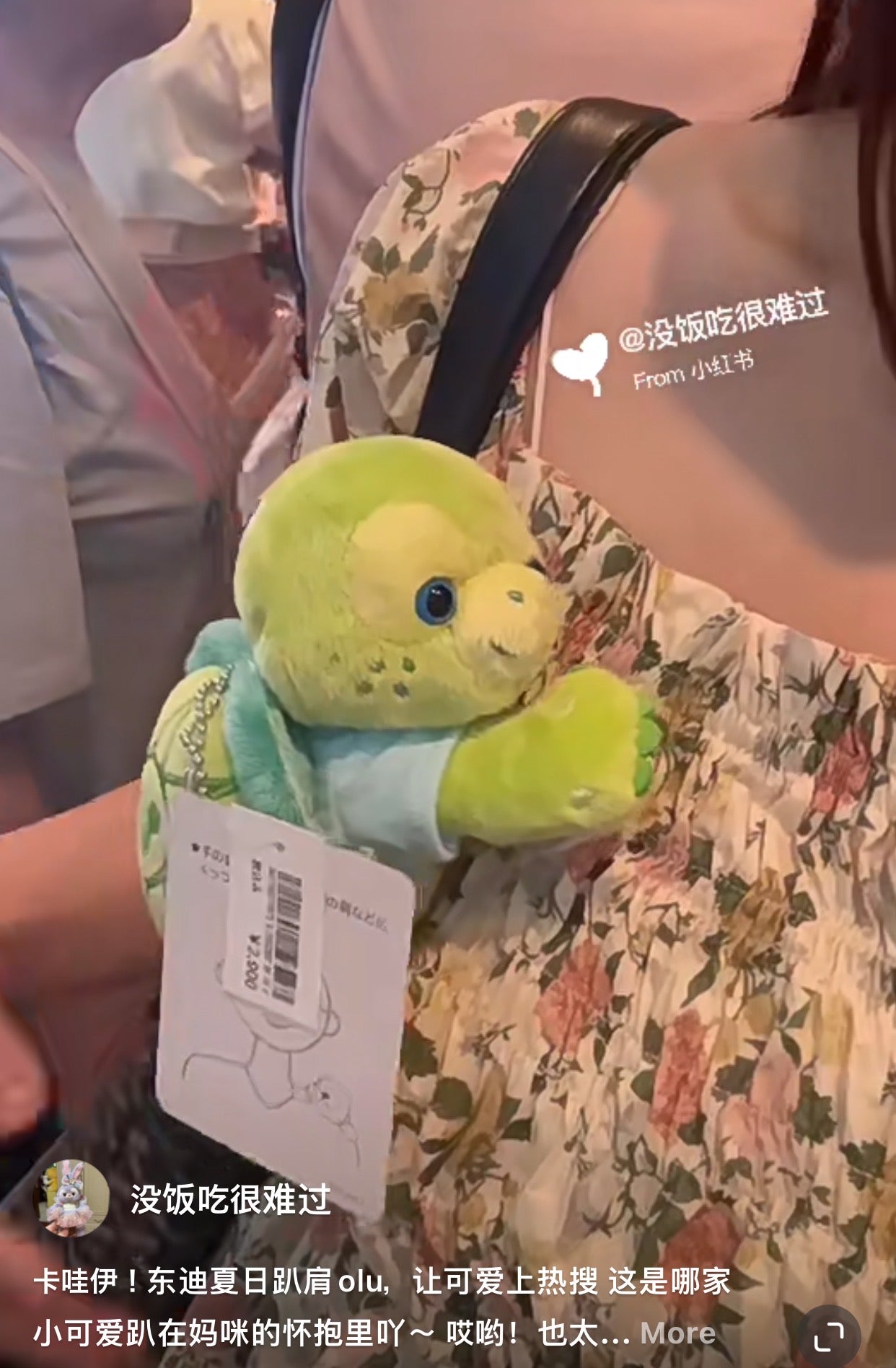 Disney迪士尼｜2023东迪夏日小龟olu/小王合集