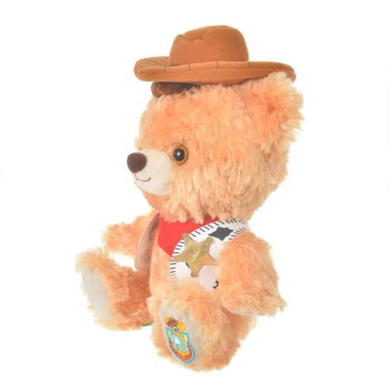 Disney｜毕业礼物/unibear大学熊毛茸茸熊熊公仔/脚底有铭牌｜高さ約26×幅24×奥行き15(cm)