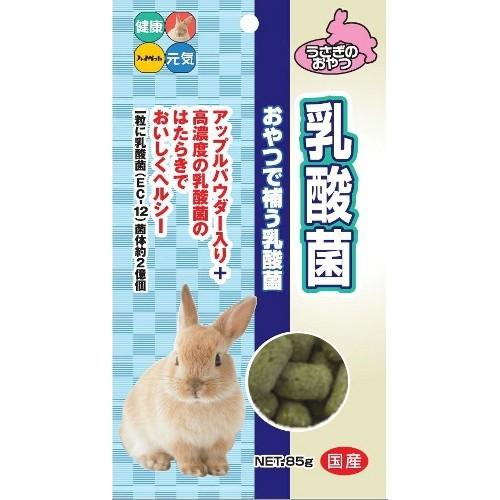 ハイペット｜兔子高浓度乳酸菌补充零食/每粒约2亿个/护理肠道细菌的平衡/适合全龄兔兔｜55g