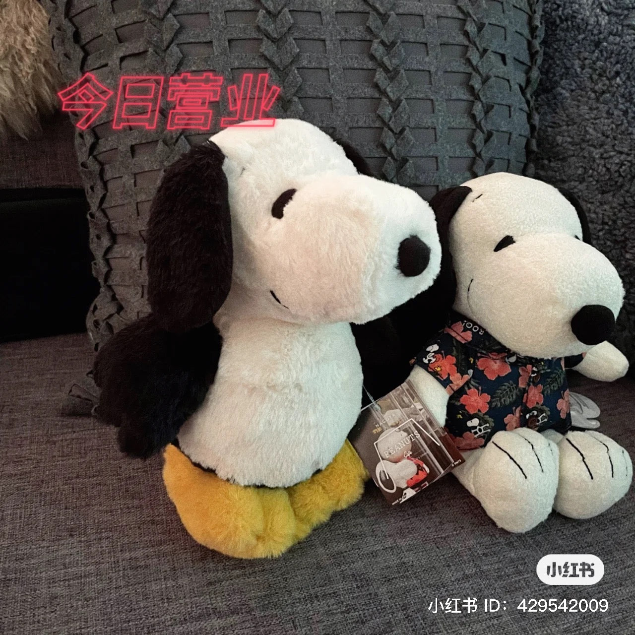 Snoopy｜Nagoya cafe限定鹈鹕脚丫限定毛绒玩偶公仔/好像企鹅的鹈鹕
