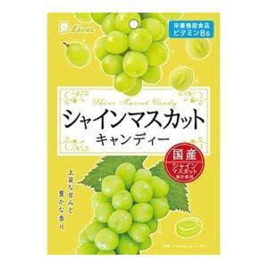 Lion｜清新酸甜晴王硬糖｜49g【24.01】