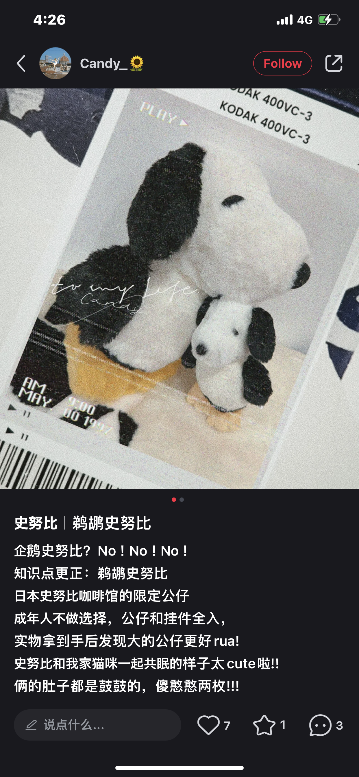 Snoopy｜Nagoya cafe限定鹈鹕脚丫限定毛绒玩偶公仔/好像企鹅的鹈鹕