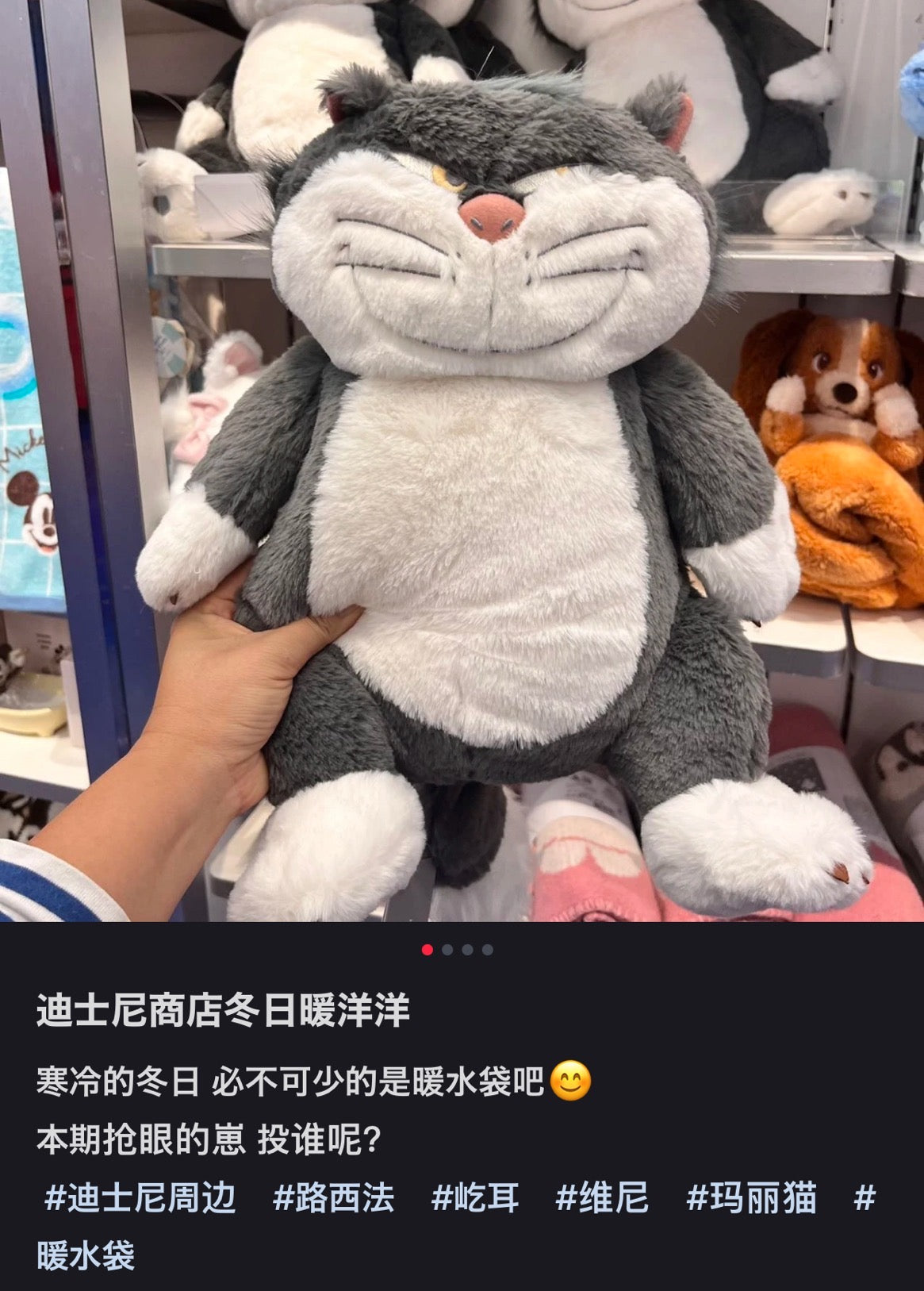 Disney｜冬日暖乎乎热水袋限定公仔/玩偶/功能性玩偶