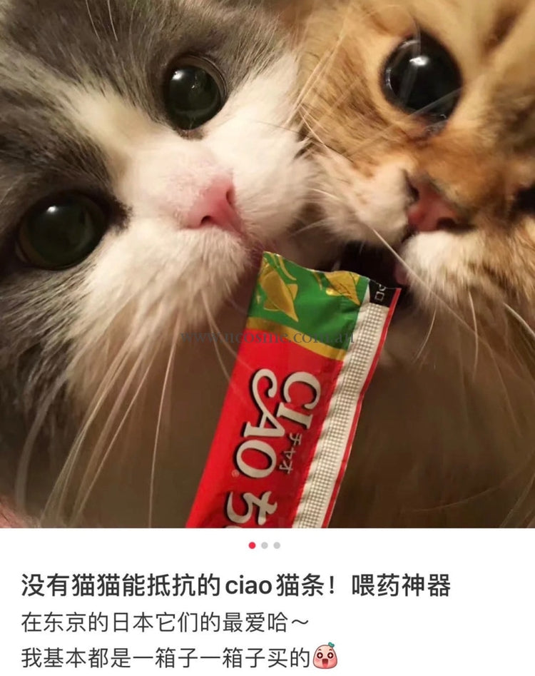 Ciao | / 30