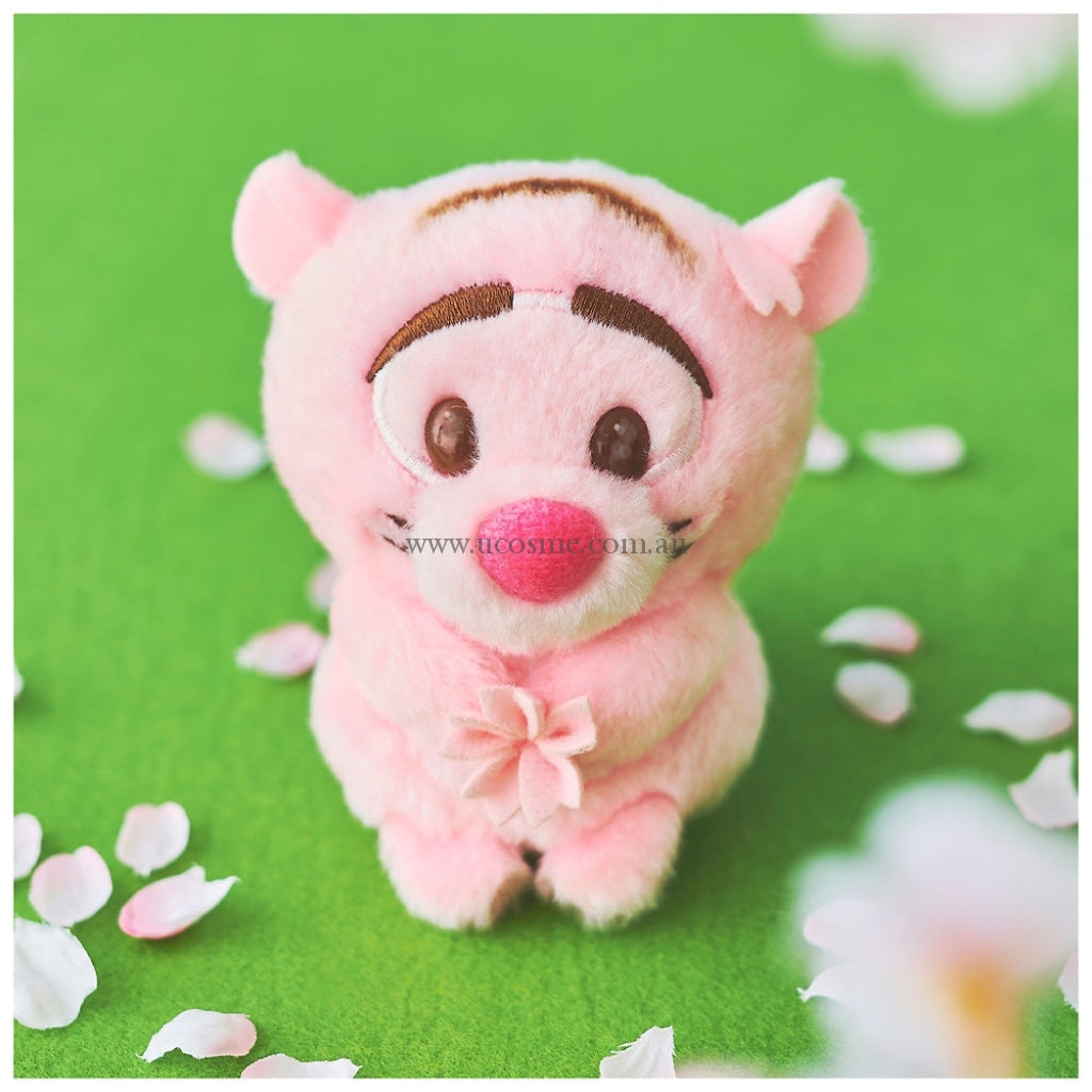 Disney2023/11Cm