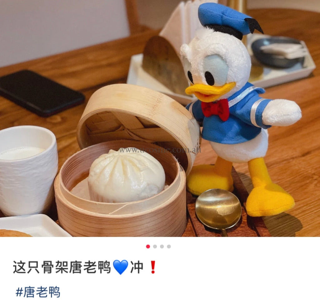 Disneypozy Plushy//