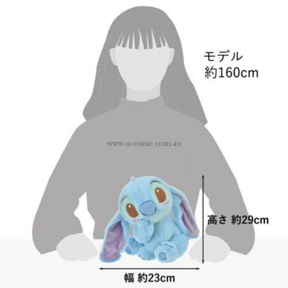 Disney29Cm