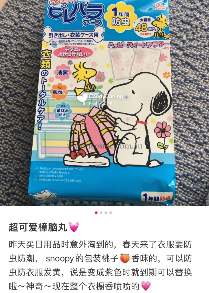 Earthsnoopy48