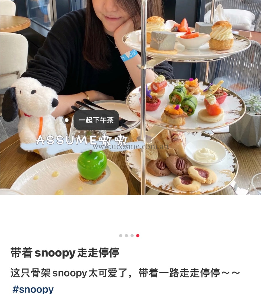 Snoopy19Cm