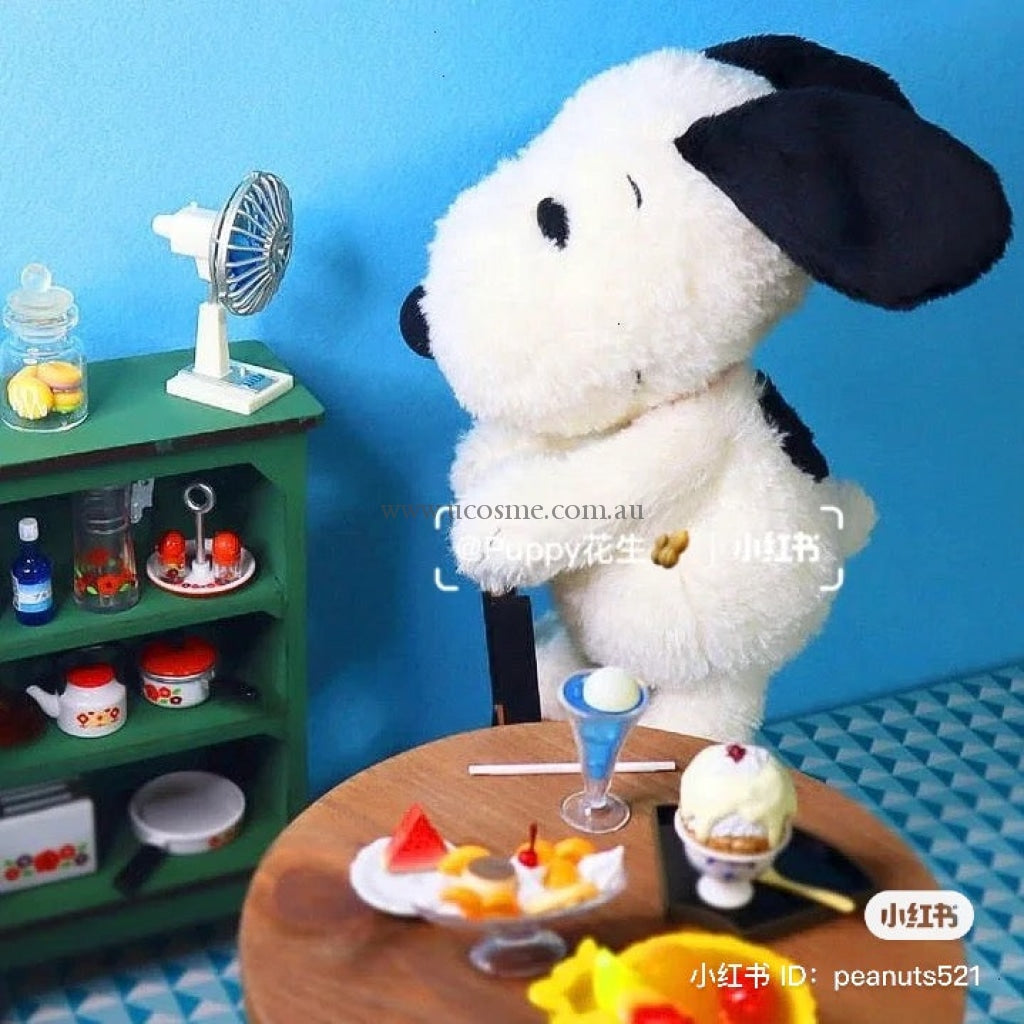 Snoopy19Cm