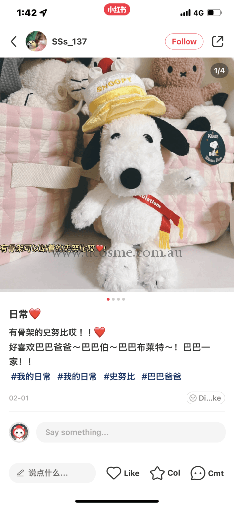 Snoopy19Cm