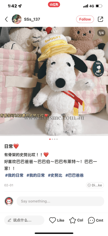 Snoopy19Cm