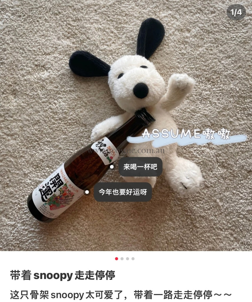 Snoopy19Cm
