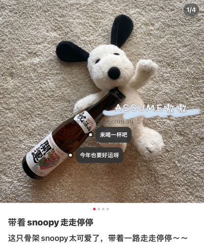 Snoopy19Cm